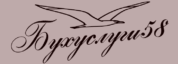 Бухуслуги58